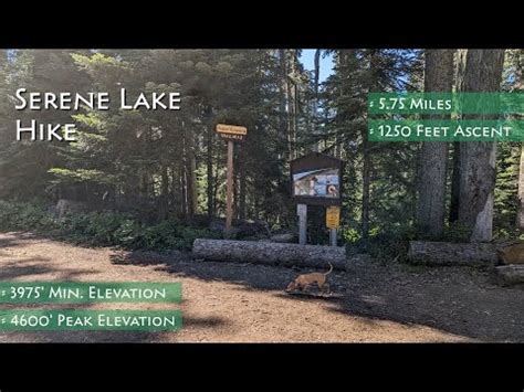 Estacada Lake Guide